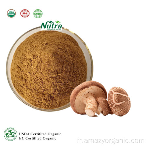 Extrait de Champignon Shiitake Bio 30% Polysaccharides